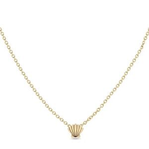ZOE CHICCO 14K ITTY BITTY SEASHELL NECKLACE